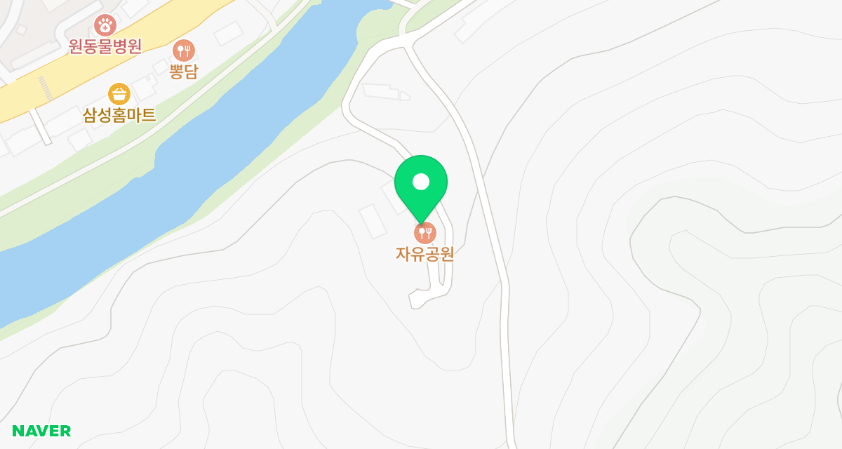 광주TNR동물병원초월 위치