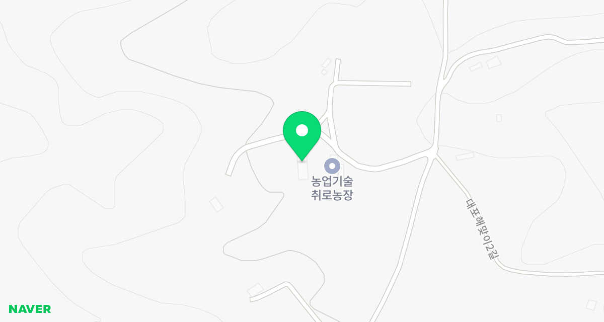 속초시유기동물보호소 위치