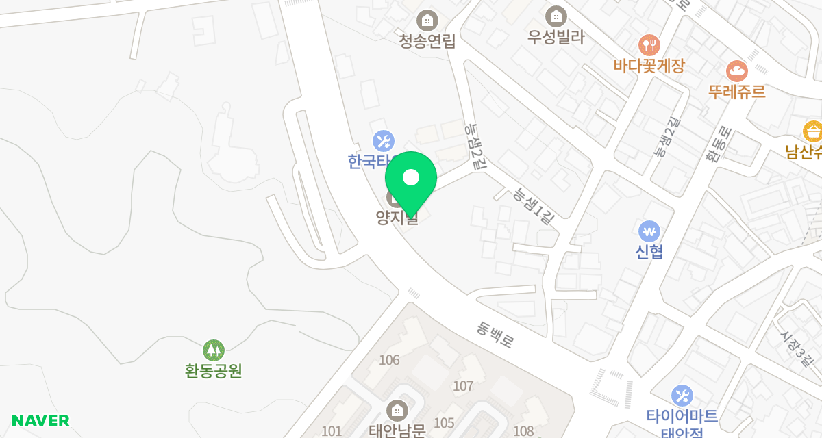 최동물병원 위치