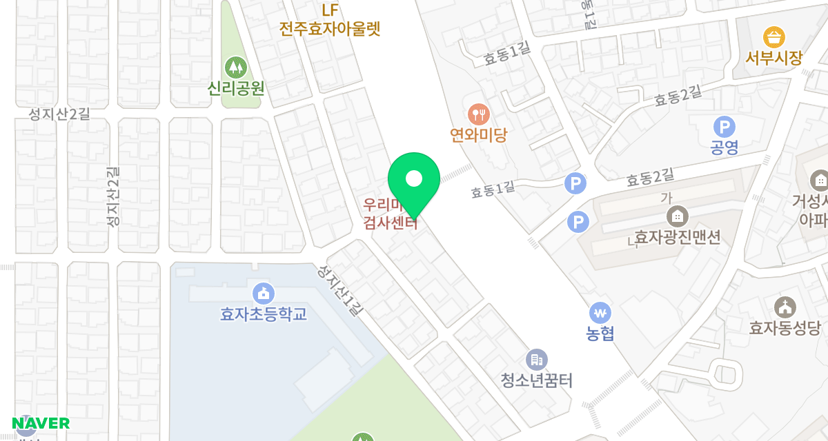효자동물병원 위치