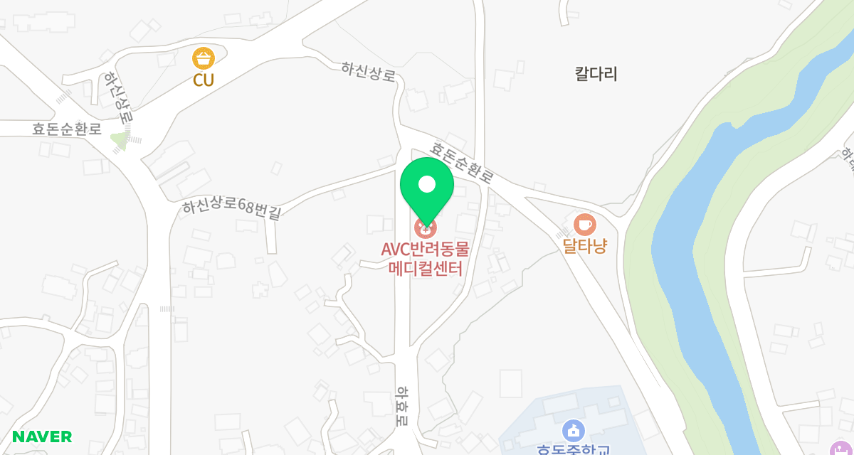 AVC반려동물메디컬 위치